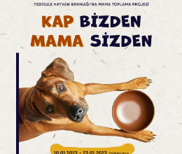 Kap Bizden Mama Sizden
