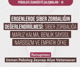 Ergenlerde Siber Zorbalığın Değerlendirilmesi